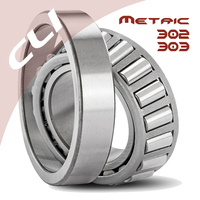 Thumb tapered roller bearing metric size 302 303