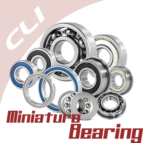 Original miniauter bearings  244