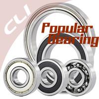 Thumb popular ball bearings 244