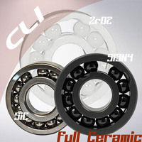 Thumb full complement ceramic bearings zro2 si3n4 sic web cli